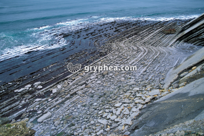 Roches sédimentaires plissées (flyschs) sur la corniche basque - gryphea.org